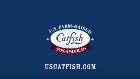 The Catfish Institute