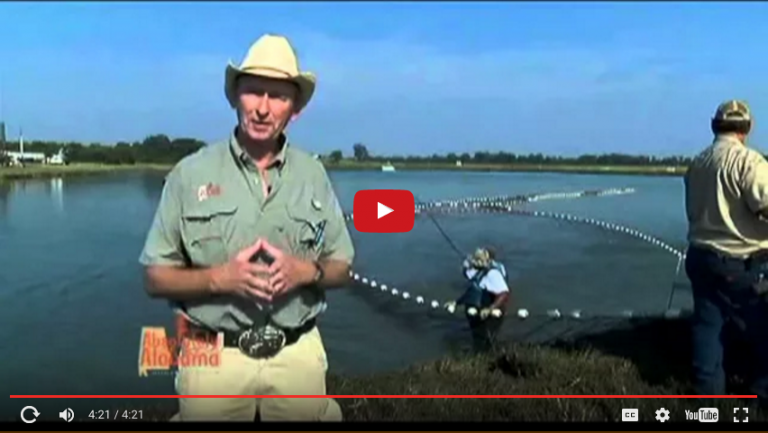 Absolutely Alabama with Fred Hunter Visits Harvest Select Catfish
