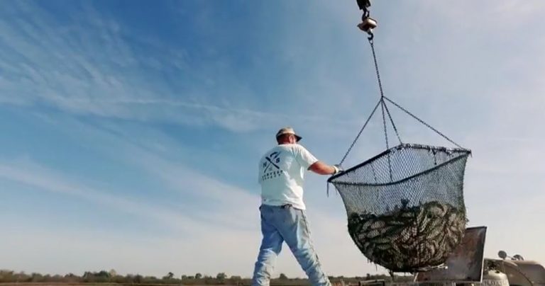 Out Da’ Bayou Features Harvest Select in Their ‘Stories With Great Taste’ Video Series